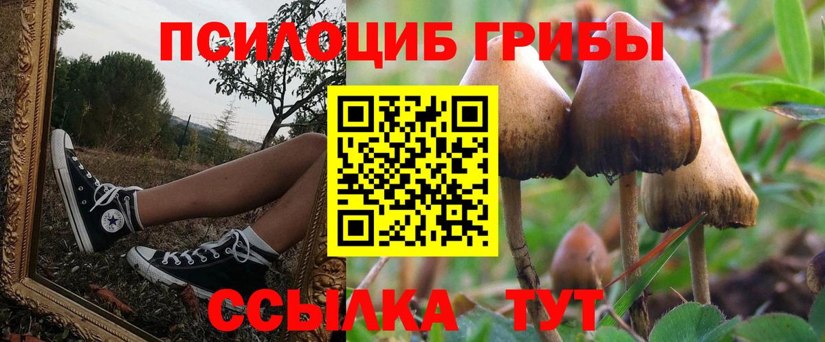 Псилоцибиновые грибы GOLDEN TEACHER  Вход с VPN  Владимир 