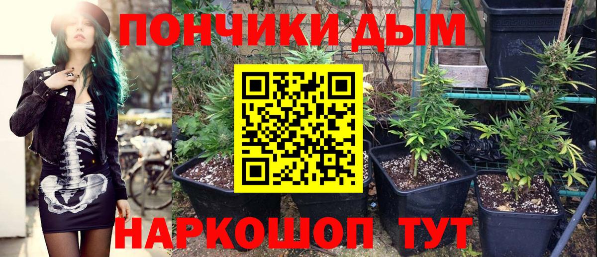 Владимир  Каннабис Amnesia  МАРИХУАНА Amnesia  Вход с VPN  МАРИХУАНА LSD WEED 